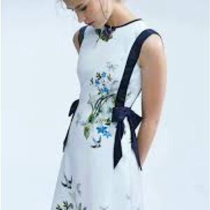 Ted Baker Sipnela dress